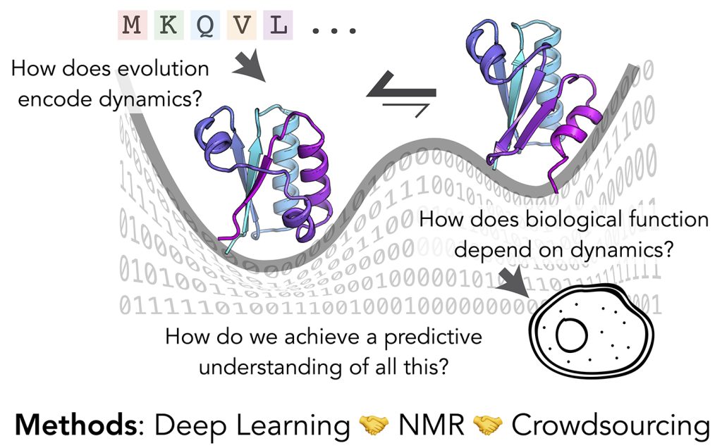 Figure for quantitative and predictive understanding of biomolecular dynamics
